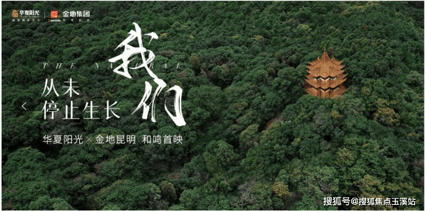 询热线→户型配套→优惠政策→价值分析报告→首页网站→精选笔记→最新动态ayx爱游戏app2025最新房价✦昆明「华夏金地世博一号」售楼处咨(图8)